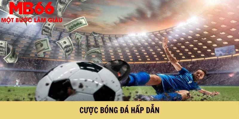 Cược bóng đá hấp dẫn