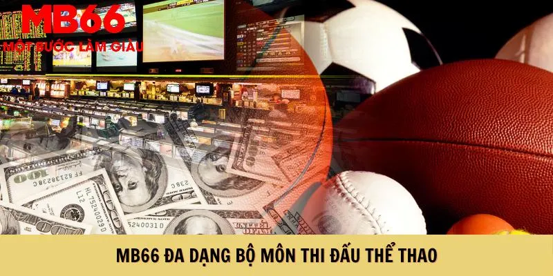 Hệ thống cung cấp đa dạng bộ môn thi đấu thể thao
