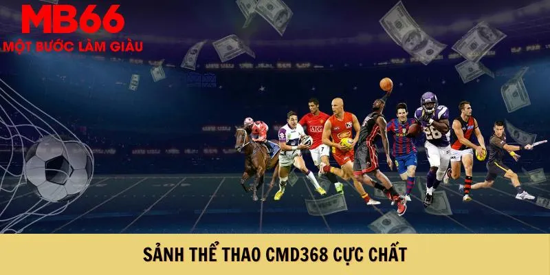 Sảnh thể thao CMD368 cực chất