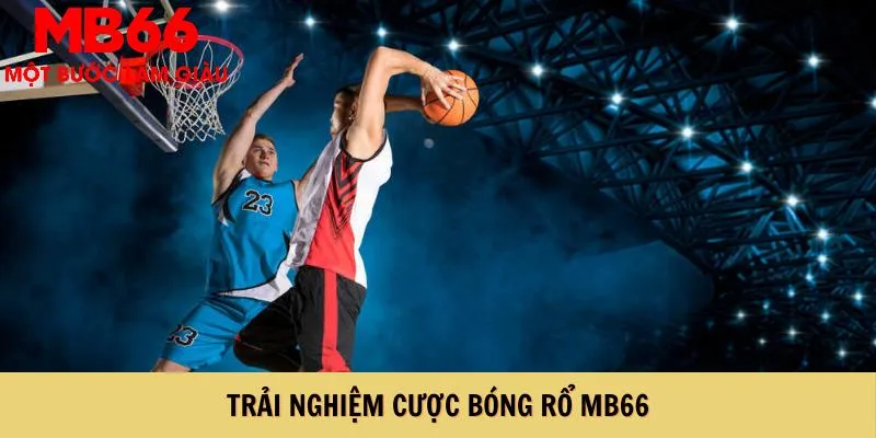 Trải nghiệm cược bóng rổ hấp dẫn